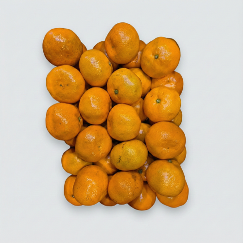 시그니처 고당도 귤